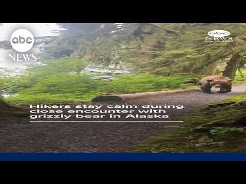 Read more about the article Hikers stay calm during close encounter with grizzly bear in Alaska