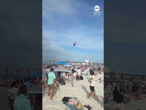Read more about the article Blue Angels conducting review after jet flies over Florida beachgoers