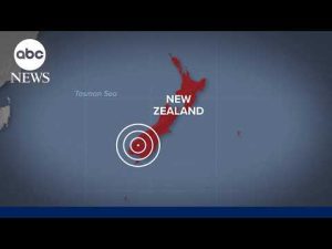 Read more about the article New Zealand earthquake triggers tsunami advisory