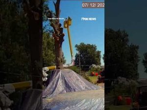 Read more about the article Landscapers survive 45-FOOT PLUNGE after cable SNAPS #shorts