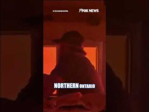 Read more about the article TERROR as flames surround Canadian train #shorts