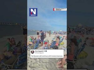 Read more about the article Blue Angels thrill beachgoers with a low flyover over Pensacola Beach