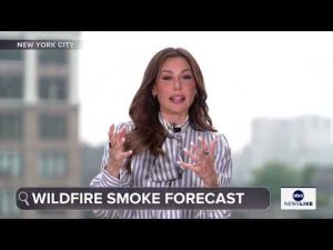Read more about the article Canadian wildfires spread as smoke prompts air quality alerts in 18 states