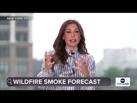Read more about the article Canadian wildfires spread as smoke prompts air quality alerts in 18 states