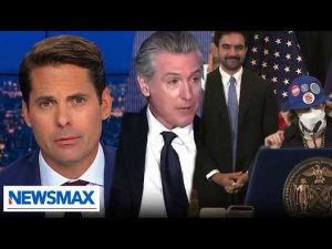 Read more about the article How quickly the Dems went more delusional: Finnerty