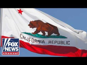 Read more about the article MASSIVE sex abuse lawsuits rock blue state