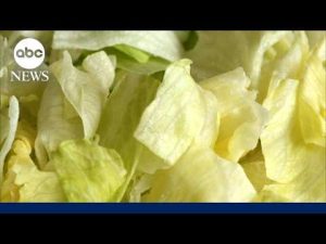 Read more about the article Iceberg lettuce sample from Taylor Farms tests positive for cyclosporiasis parasite