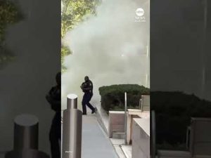 Read more about the article Man in custody after setting off ‘incendiary device’ outside federal building in NYC