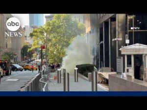 Read more about the article Man in custody after setting off ‘incendiary device’ outside NYC federal building
