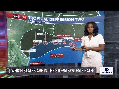 You are currently viewing Tropical storm watch is in effect for parts of the Gulf Coast