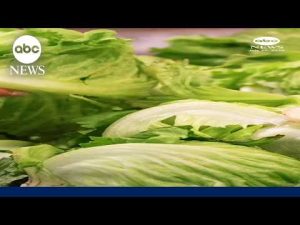 Read more about the article What to know about cyclosporiasis