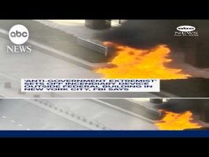 Read more about the article ‘Anti-government extremist’ sets off incendiary device outside NYC federal building, FBI says