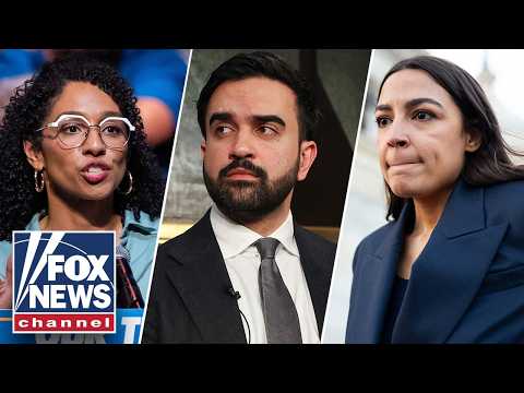 Read more about the article Lifelong Dem TORCHES far-left push for control of Democratic Party
