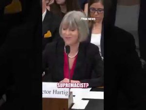 Read more about the article Rep Gill PRESSES museum director: ‘Ma’am, are you a white supremacist?’ #shorts #foxnews #news #fox