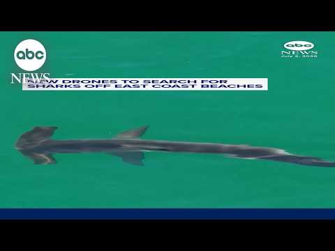 Read more about the article New drones to search for sharks off East Coast beaches