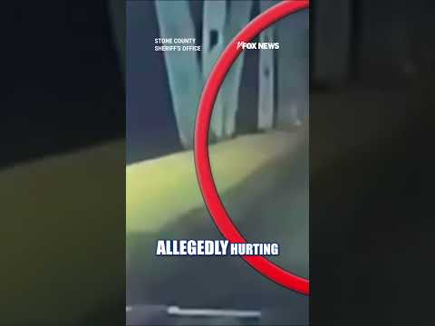 Read more about the article Driver LEAPS off 50 FT BRIDGE in FAILED escape attempt #shorts #us #news #foxnews