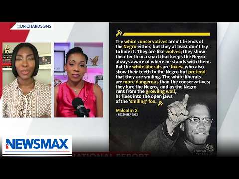Read more about the article ‘Joy to see left eat itself’: Black conservatives rejoice over leftist racial divisions