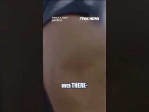 Read more about the article NYPD releases body cam footage of Empire State Building climbers’ arrest #shorts #us #foxnews