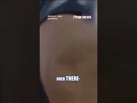 Read more about the article NYPD releases body cam footage of Empire State Building climbers’ arrest #shorts #us #foxnews