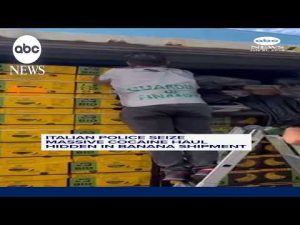 Read more about the article Italian police seize massive cocaine haul hidden in banana shipment