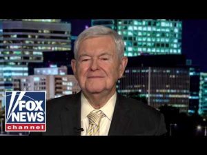 Read more about the article Newt Gingrich: These people are CRAZY