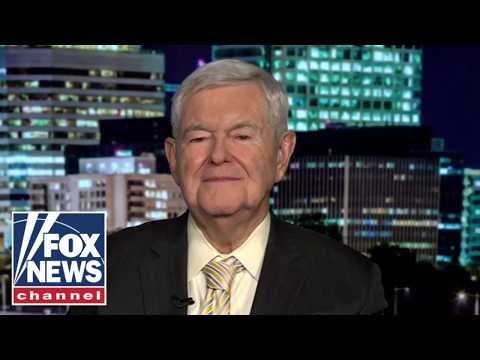 You are currently viewing Newt Gingrich: These people are CRAZY