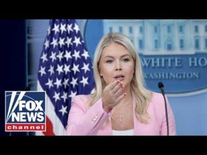 Read more about the article WATCH LIVE: Karoline Leavitt holds White House press briefing