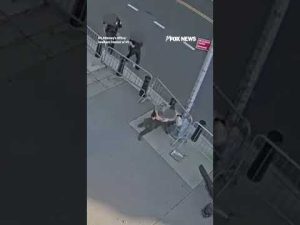 Read more about the article Officers TACKLE ‘anti-American’ suspect after firebombing at federal building #shorts