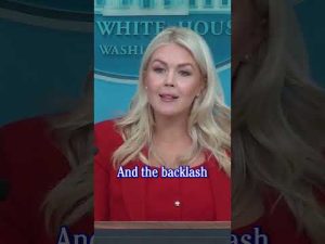 Read more about the article White House Defends Sophie Cunningham