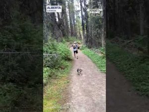 Read more about the article Couple on hike has close encounter with a bear