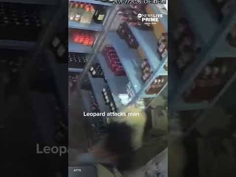 You are currently viewing Leopard attacks man inside store in India