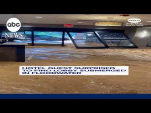 Read more about the article Hotel guest surprised to find lobby submerged in floodwater