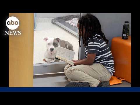 You are currently viewing Florida boy reads to shelter dogs waiting for forever home
