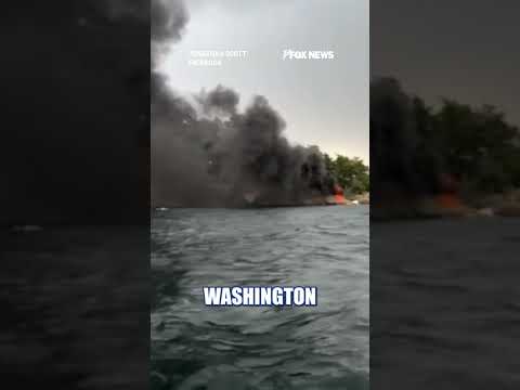 You are currently viewing Seaplane bursts into flames during emergency landing #shorts