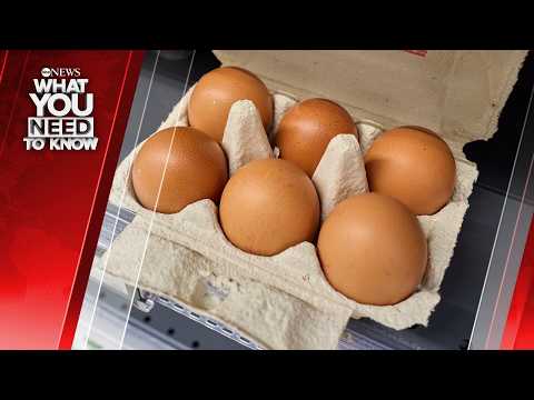 Read more about the article Voluntary Egg Recall; Trump Threatens ‘Massive Attack’ on Iran. What You Need to Know- July 24
