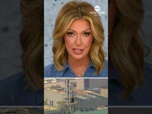 Read more about the article Attorney for Empire State Building climbers addresses the charges that the couple faces