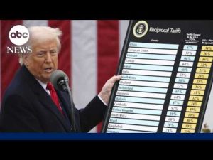 Read more about the article Economics professor on impact of new tariffs