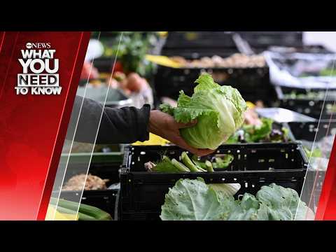 You are currently viewing Cyclosporiasis Cases Rise As Outbreak Linked To Shredded Lettuce. What You Need to Know