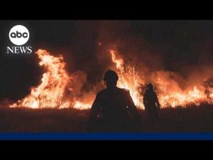 Read more about the article Over 250,000 forced to flee European wildfires