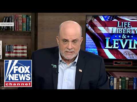 Read more about the article Levin: DSA requires CONSTANT pushback