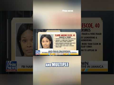 You are currently viewing FBI NABS alleged COVID fraud fugitive #foxnews #shorts #news #fbi