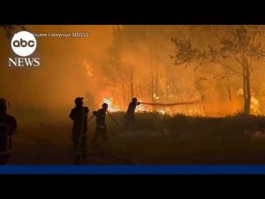 Read more about the article Hundreds of thousands forced to evacuate because of European wildfires