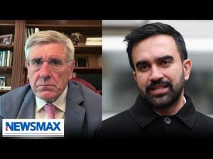 Read more about the article Mamdani grocery stores will shutdown in 12 months: Economist Stephen Moore