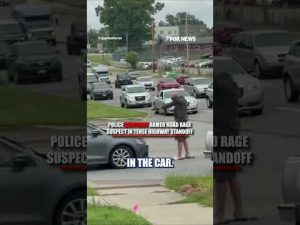 Read more about the article Police CONFRONT armed road rage suspect #shorts #us #news #foxnews