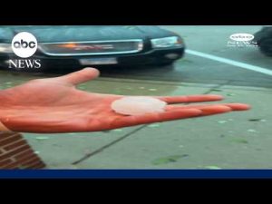 Read more about the article Severe storms bring golf ball-sized hail to Illinois