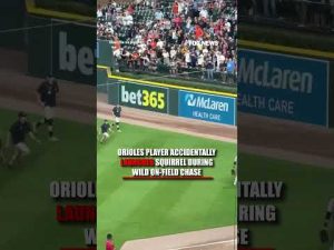 Read more about the article Squirrel goes AIRBORNE in WILD MLB CHASE #foxnews #news #us #fox
