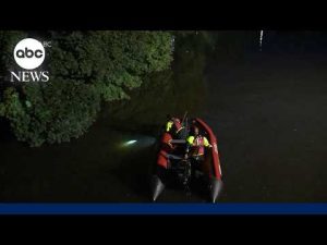 Read more about the article Officials: Nearly 500 ocean rescues made along California coast in two days