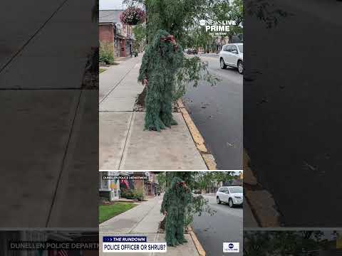 You are currently viewing Police Officer catches distracted drivers by dressing in shrub