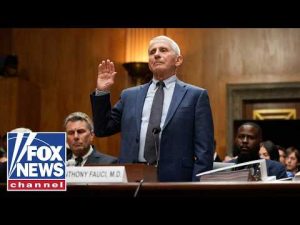 Read more about the article Hawley calls Fauci the ‘BIGGEST SCAMMER IN AMERICAN HISTORY’
