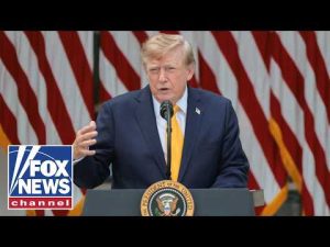 Read more about the article THIS is ‘essential’ to GOP success in the 2026 midterms: Ari Fleischer